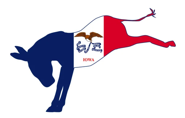Bandiera dell'asino democratico dell'Iowa — Vettoriale Stock