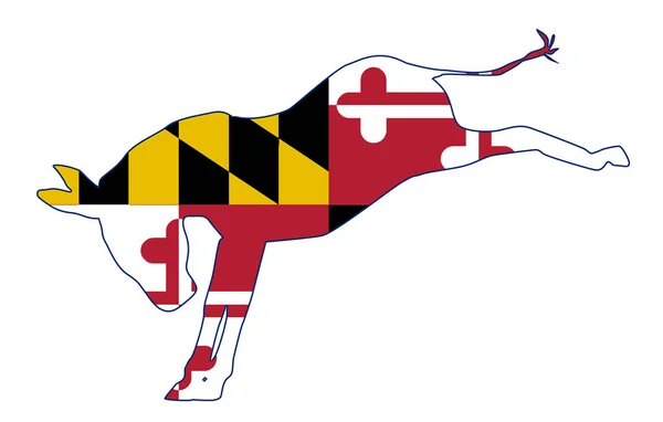 Maryland δημοκράτης γαϊδούρι σημαία — Διανυσματικό Αρχείο