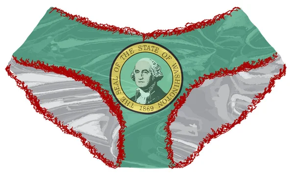 Pantaletas Bandera del Estado de Washington — Vector de stock