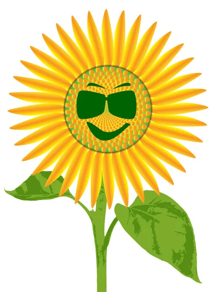 Hlava Velké Slunečnice Izolované Bílém Pozadí Usměvavou Tváří Slunečními Brýlemi — Stockový vektor