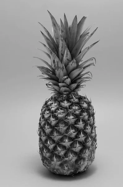 Whole pineapple fruit — Stock Photo, Image