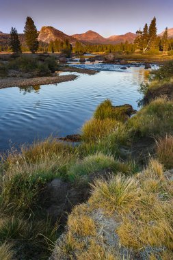 Tuolumne çayır Yosemite