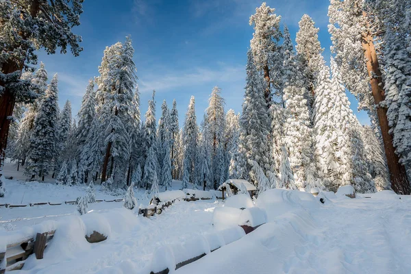 Zima Krajobraz na górze rano — Zdjęcie stockowe