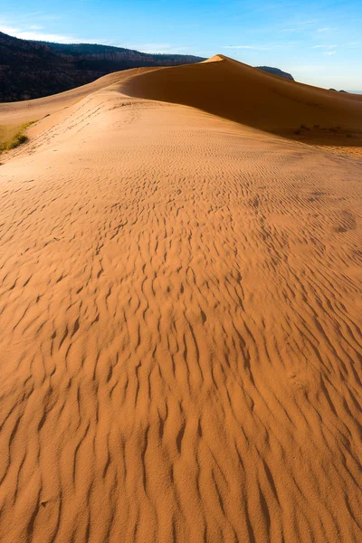 Fotos de paisajes del desierto en Arizona —  Fotos de Stock