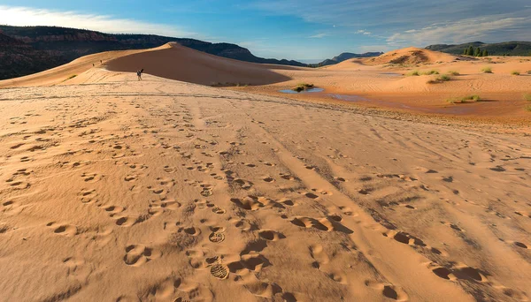 Fotos de paisajes del desierto en Arizona —  Fotos de Stock