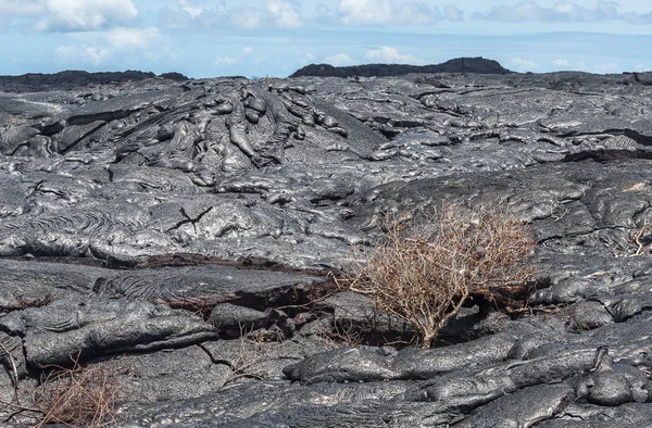 Primer flujo de lava en el campo de lava — Foto de Stock