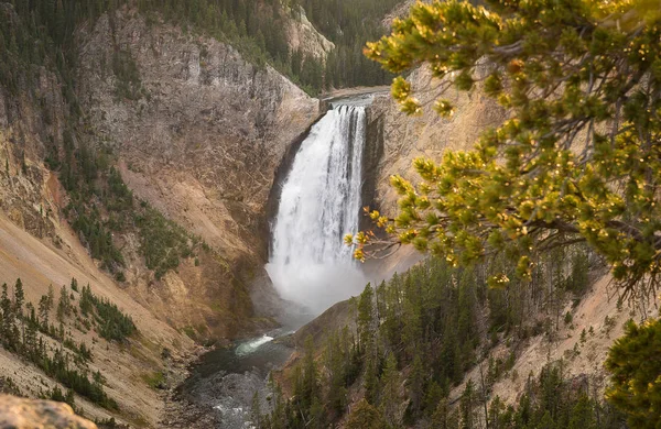 Parque Nacional del Gran Cañón de Yellowstone, Estados Unidos — Foto de Stock