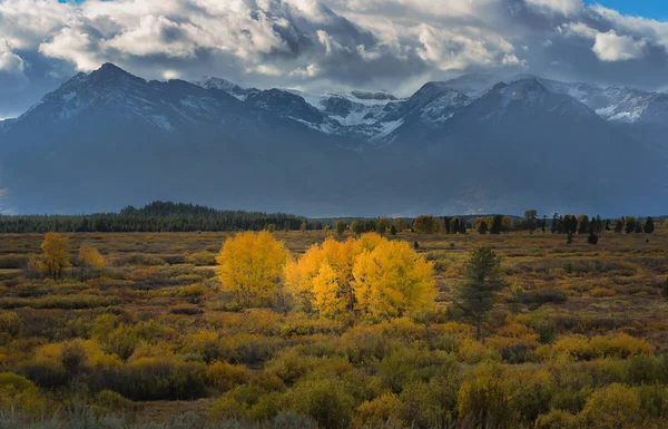 Podzim v Grand Teton — Stock fotografie