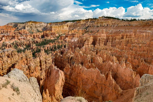 Bryce canyon national park — Stock Photo, Image