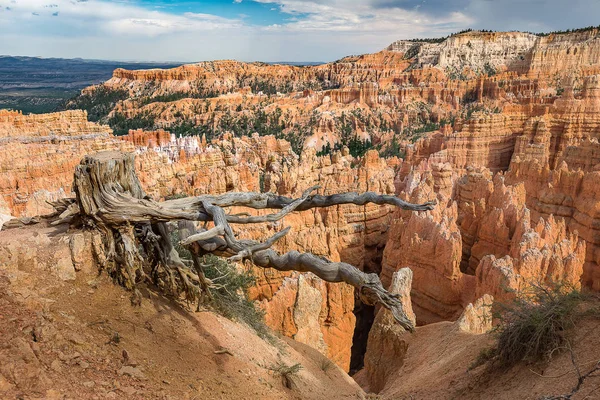 Bryce canyon national park — Stock Photo, Image