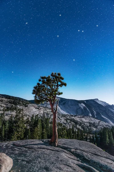 Hermosas estrellas sobre Yosemite — Foto de Stock