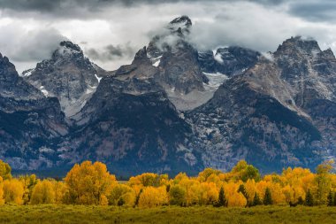 Teton aralığı Grand Teton Milli Parkı'nda 