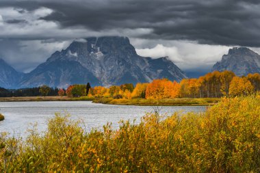 Oxbow Bend Grand Teton Milli Parkı'nda 