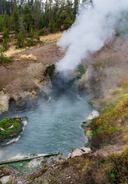 Dragon Breath sıcak bahar 
