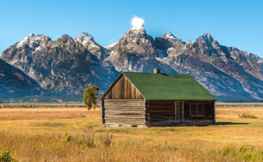 Mormon satır tarihi