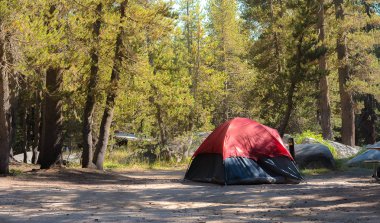 Ormanda kamp yapmak. 