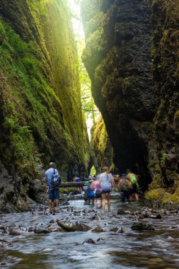 Aşağı Oneonta, Oregon 'daki Columbia River Vadisi' ne düştü.