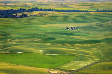 Steptoe butte Devlet Parkı 