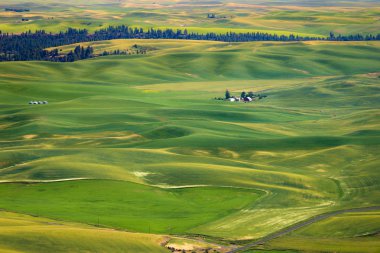 Steptoe Butte State Park  clipart