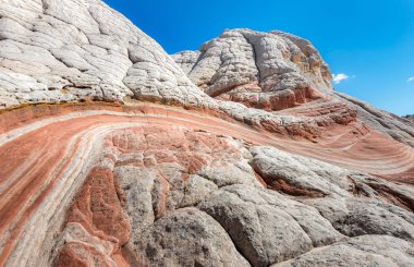 Beyaz Pocker, Arizona