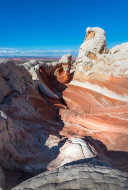 Beyaz Pocker, Arizona