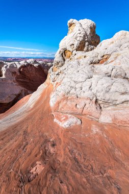 Beyaz Pocker, Arizona