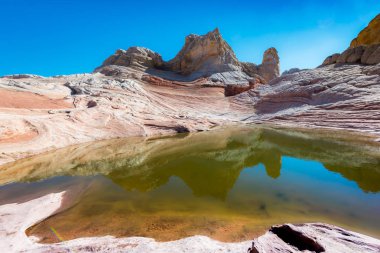 Beyaz Pocker, Arizona