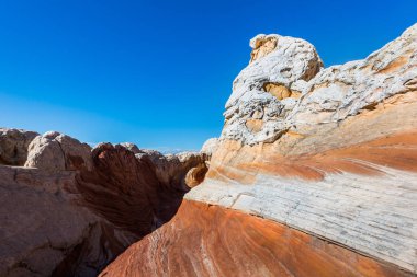 Beyaz Pocker, Arizona