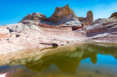 Beyaz Pocker, Arizona