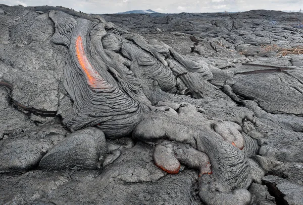 Lava field in Hawaii — Stock Photo, Image