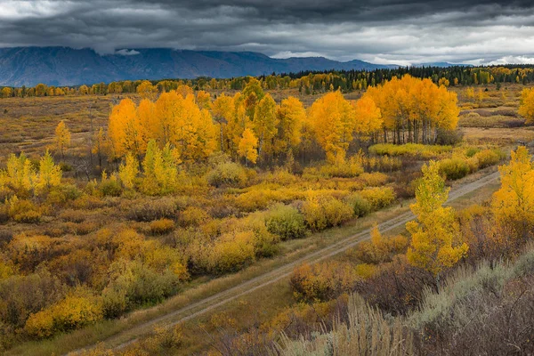 Autunno nel grande parco nazionale del teton — Foto Stock