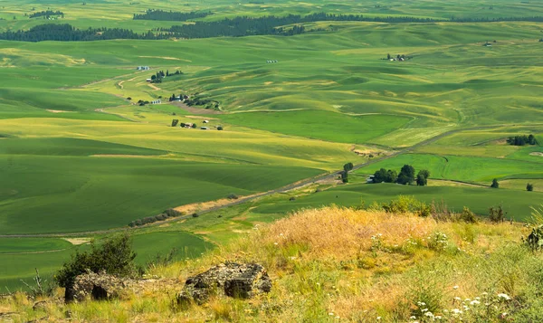 Steptoe butte κρατικό πάρκο — Φωτογραφία Αρχείου