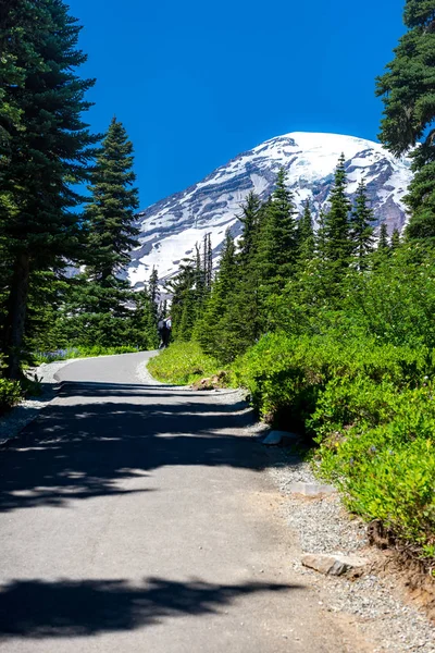 Mt. rainier Parku Narodowego — Zdjęcie stockowe