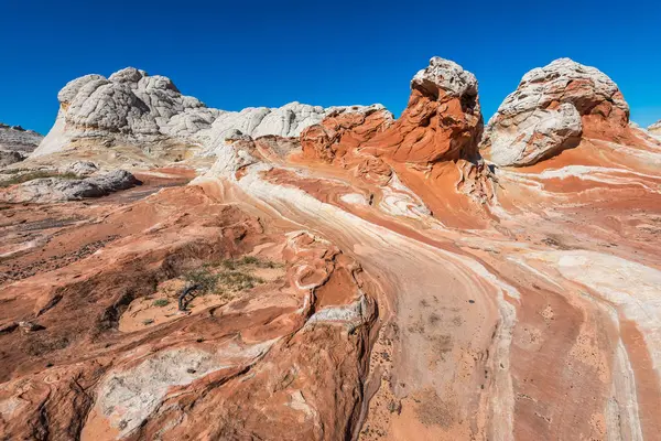 Weißer Pocker, arizona — Stockfoto