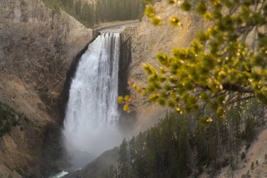 Yellowstone şelale Güz