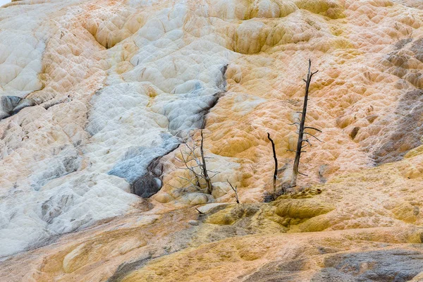 Mammuth Hot Springs, Yellowstone National Park — Stockfoto