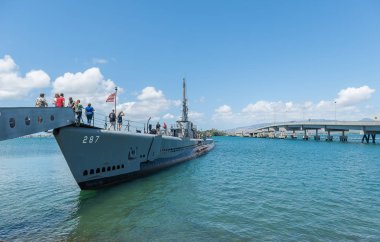 Hawaii Usa Uss Arizona Anıtı