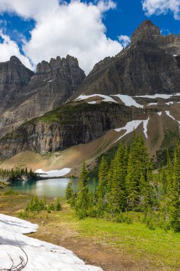Doğal görünümü buzul Milli Parkı'nda