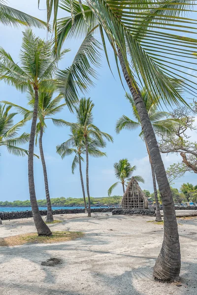 Стародавні село Hawaiin в Pu'uhonua O Honaunau національної Hist — стокове фото