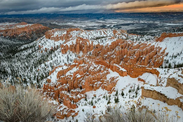 The Hoodoos of Bryce Canyon in Utah — Stock Photo, Image