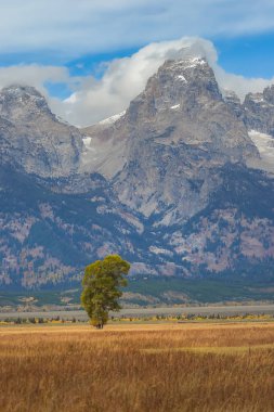 Teton aralığı Grand Teton Milli Parkı'nda görünümünü