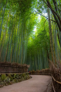 Arashiyama Kyoto, Japonya