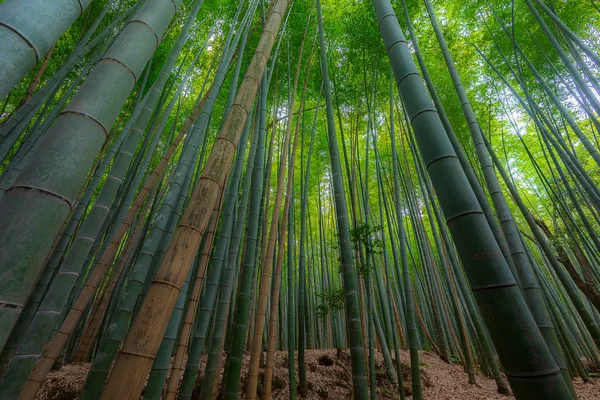 在日本京都岚山 — 图库照片