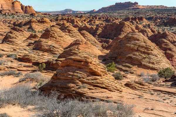 The Wave en North Coyote Buttes —  Fotos de Stock