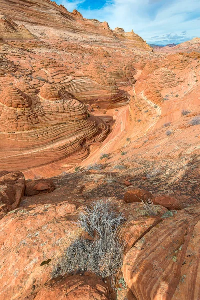 The Wave in North  Coyote Buttes — Stock Photo, Image