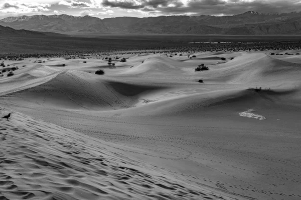 Mesquite Flat Sand Dunes, Parque Nacional del Valle de la Muerte — Foto de Stock