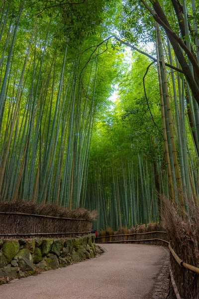 Arashiyama em Kyoto, Japão Imagem De Stock
