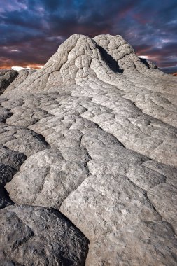 Beyaz Pocker, Arizona