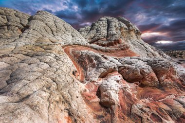 Beyaz Pocker, Arizona