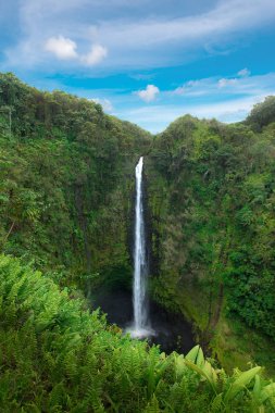 Akaka Falls State Park, Hawaii büyük ada
